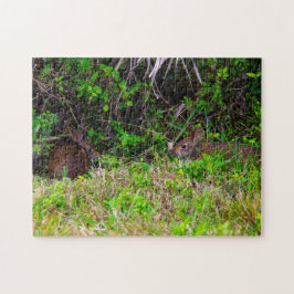 Bunny Rabbit Hare Feuchtgebiete Niedliche Natur Br Puzzle