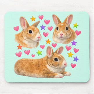 bunny rabbit kawaii cute rainbow pet mom mousepad