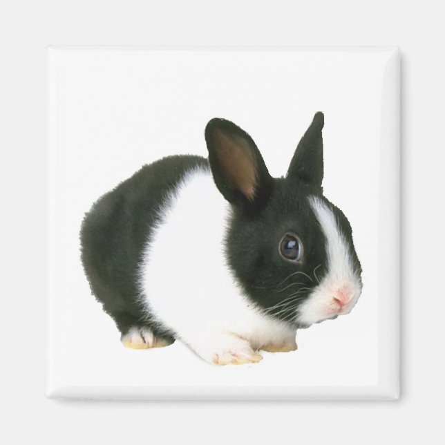 Bunny Rabbit Magnet (Vorne)