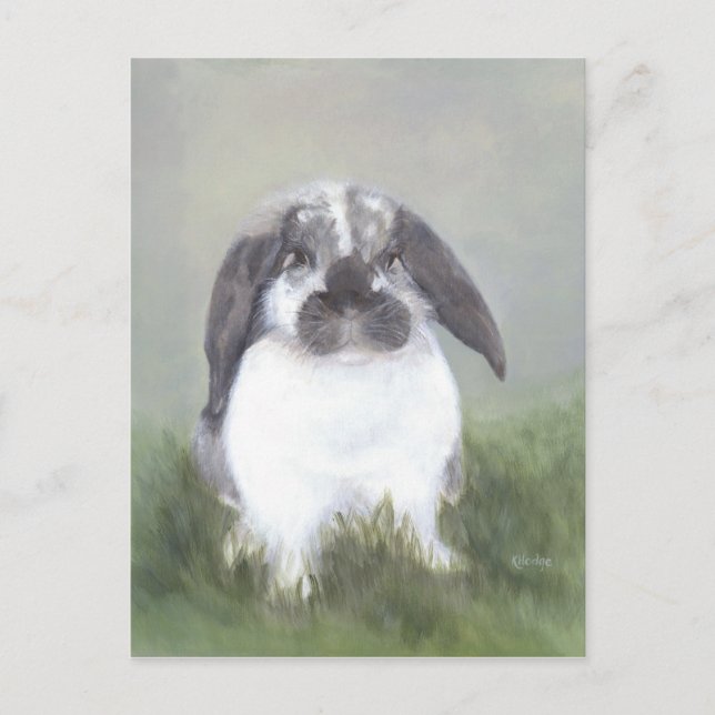 Bunny Rabbit Postcard Postkarte (Vorderseite)