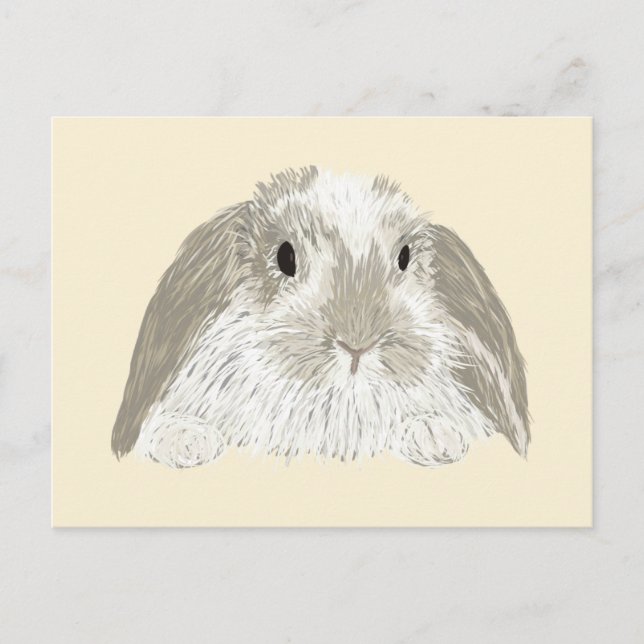 Bunny Rabbit Postkarte (Vorderseite)