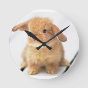 Bunny Rabbit Runde Wanduhr