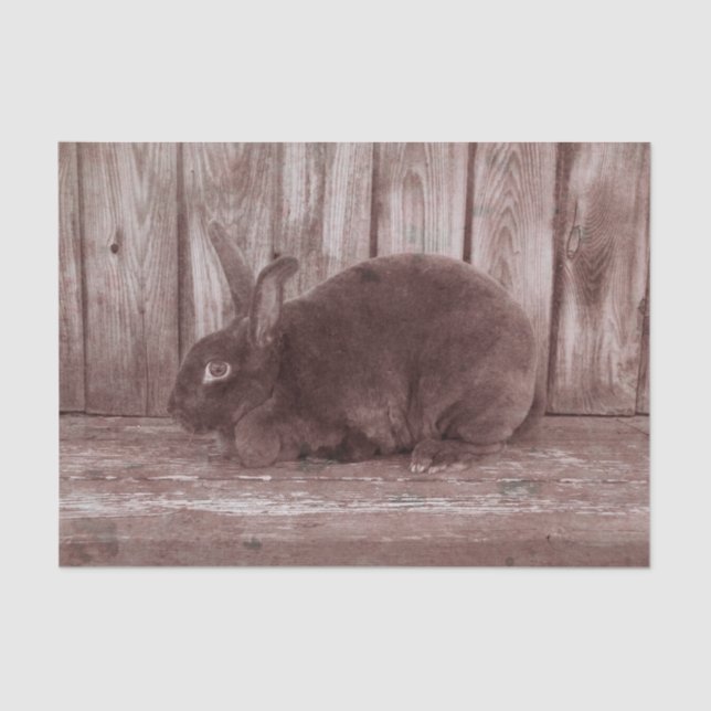 Bunny Rabbit Vintag Brown Oaster Seidenpapier (Vorderseite)