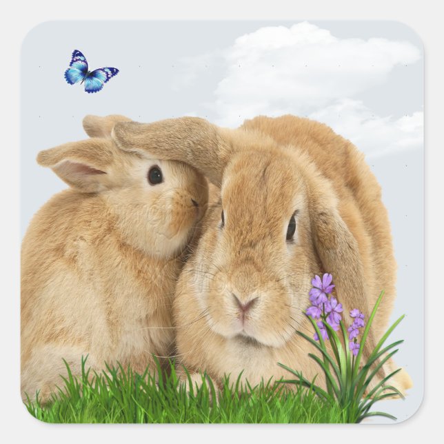 Bunny rabbitt quadratischer aufkleber (Vorderseite)