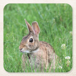 Bunny Rechteckiger Pappuntersetzer