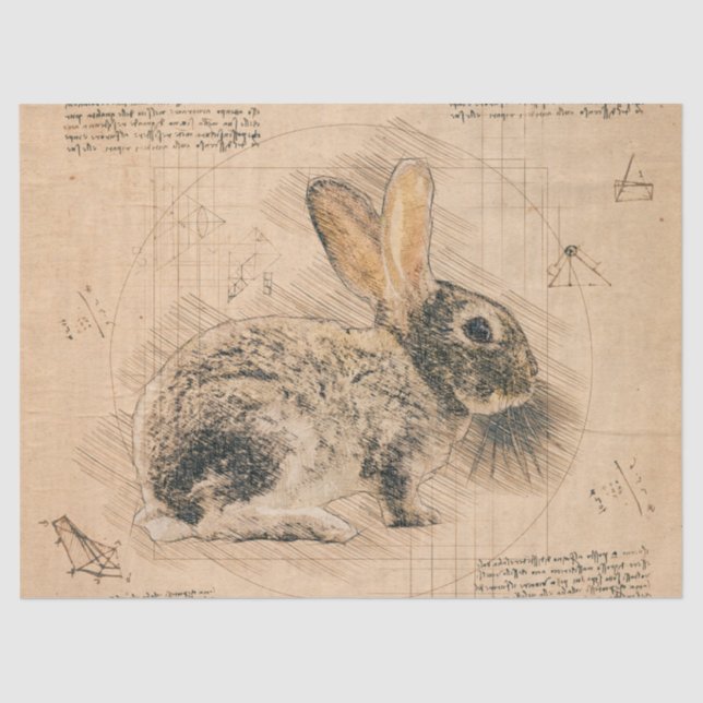 Bunny Rustic Grunge Zeichnend Seidenpapier (Vorderseite)