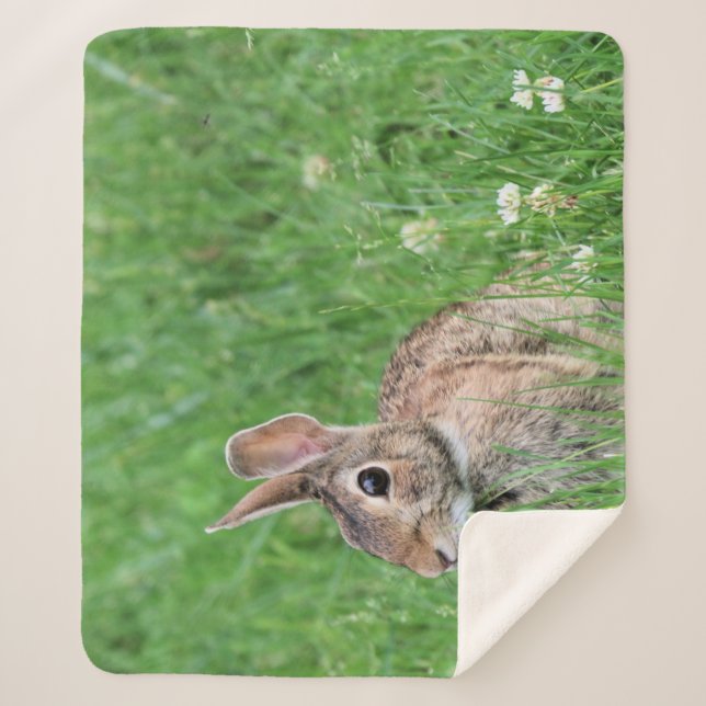 Bunny Sherpadecke (Vorderseite)