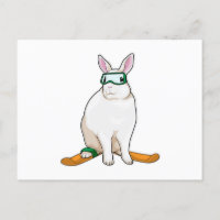 Bunny Skier