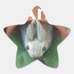 Bunny Zuhause Honey Am Zuhause Stern-Aufkleber