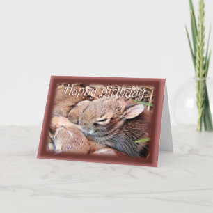 BunnyHBD-anpassen Karte