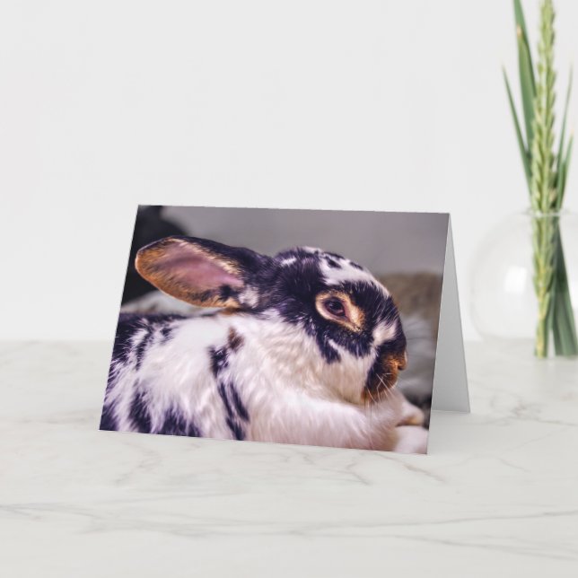 BunnyLuv Gruß-Karte, die Fünfpfundnote Karte (Vorderseite)