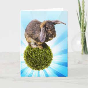 BunnyLuv Gruß-Karte, die Twink kennzeichnet Karte