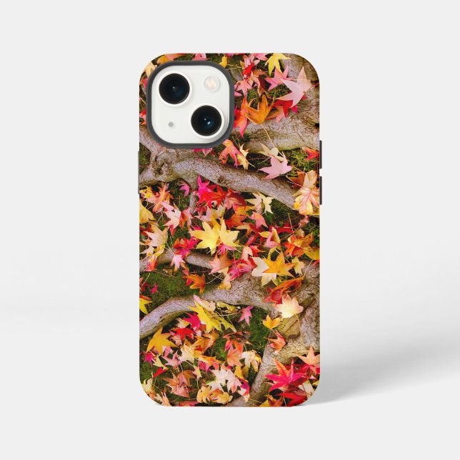Bunte Ahornblätter iPhone Hülle (Rückseite)