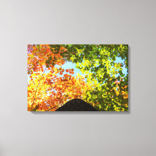 Bunte AhornTreetops Leinwanddruck