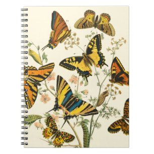 Bunte Ansammlung der Schmetterlinge und der Raupen Notizblock