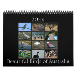 Bunte australische Vögel Kalender