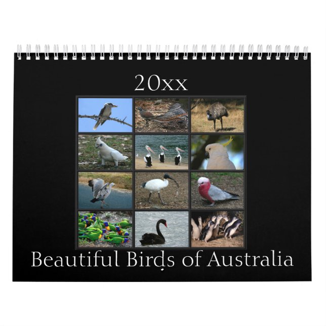 Bunte australische Vögel Kalender (Titelbild)