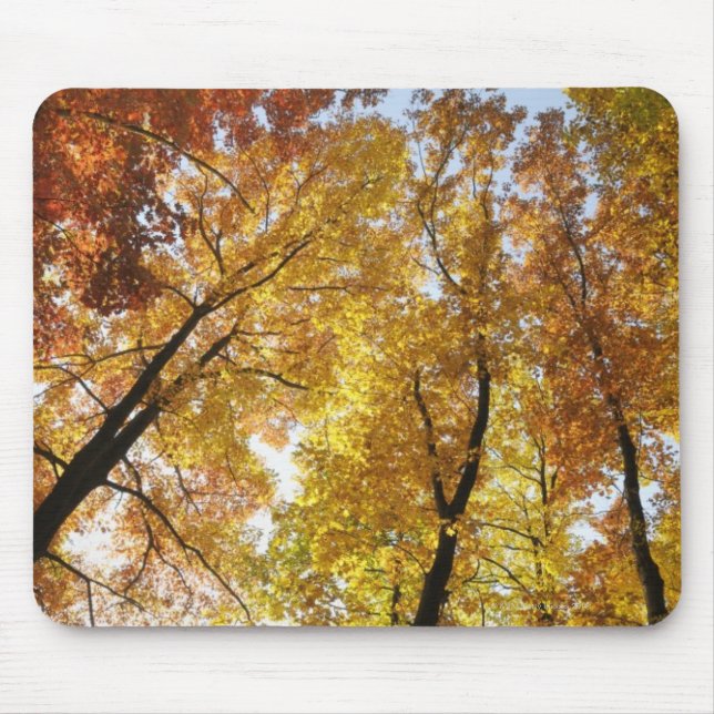 Bunte Bäume Mousepad (Vorne)