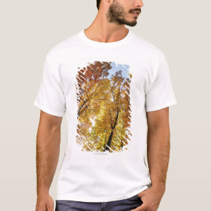 Bunte Bäume T-Shirt