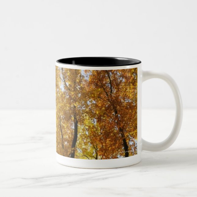 Bunte Bäume Zweifarbige Tasse (Rechts)