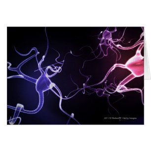 Bunte Beschreibung der Neuronen