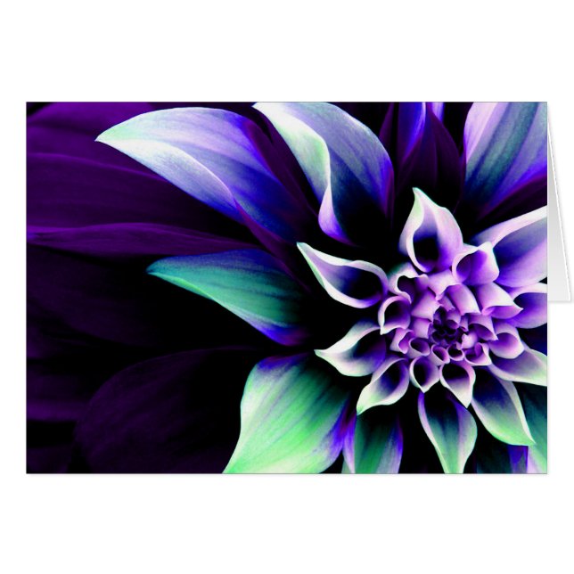 Bunte Blume 3 (Vorderseite (Horizontal))