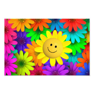 Bunte Blumen Fotodruck