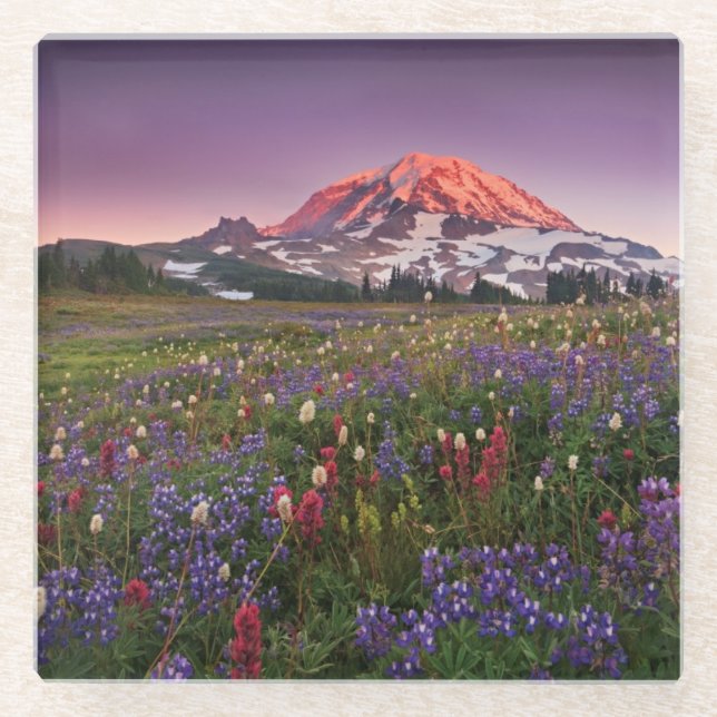 Bunte Blumen im regnerischeren Nationalpark Glasuntersetzer (Vorderseite)