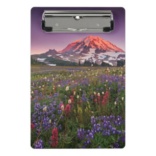 Bunte Blumen im regnerischeren Nationalpark Mini Klemmbrett