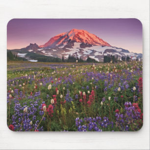 Bunte Blumen im regnerischeren Nationalpark Mousepad