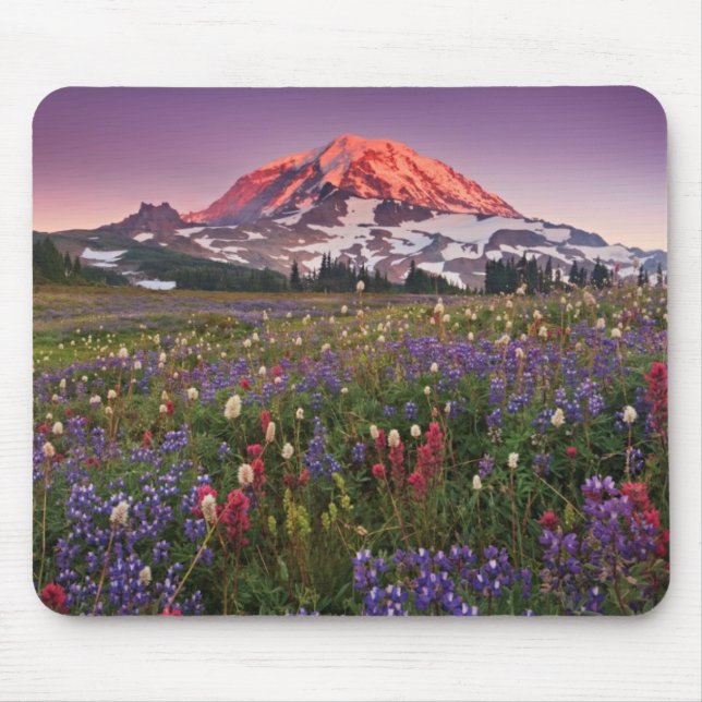 Bunte Blumen im regnerischeren Nationalpark Mousepad (Vorne)