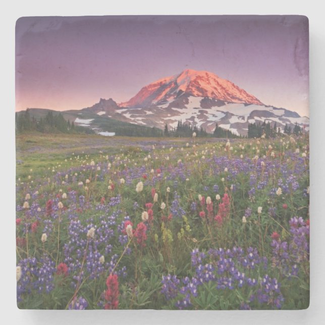 Bunte Blumen im regnerischeren Nationalpark Steinuntersetzer (Vorderseite)