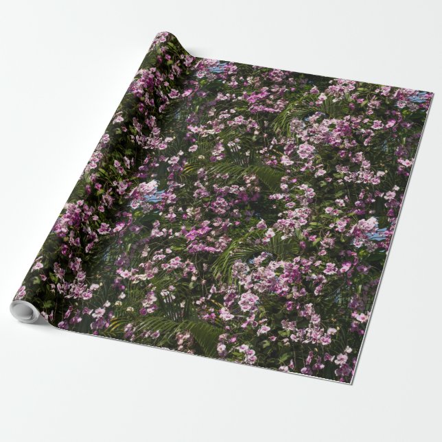 Bunte Blumen Orchideen in der Blüte Geschenkpapier (Ungerollt)