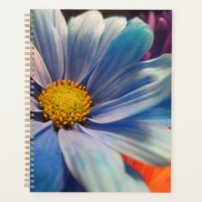 Bunte Blumen Planer (Vorderseite)