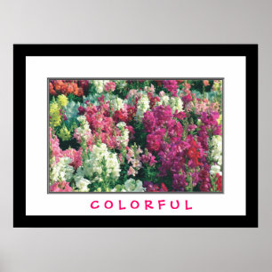 Bunte Blumen Poster