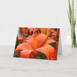 [Bunte Blumen-] Tiger-Lilie - irgendeine Karte