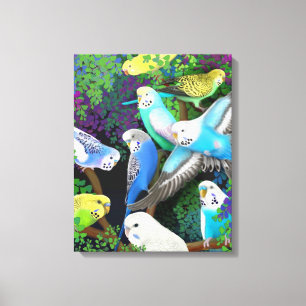 Bunte BudgerigarParakeets wickelten Leinwand ein
