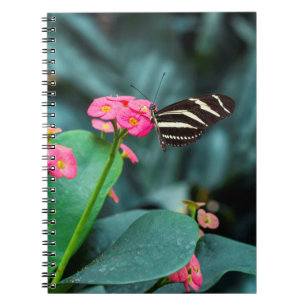 bunte Butterfliege im Garten Notizblock