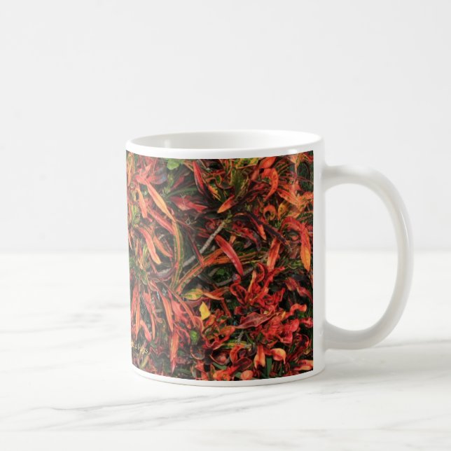 Bunte Croton-Tasse Tasse (Rechts)