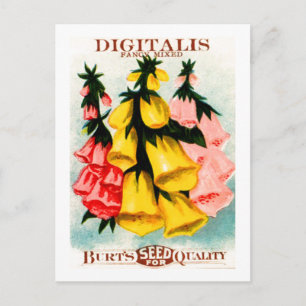 Bunte Digitalis Fingerhut-Samenpackung Postkarte