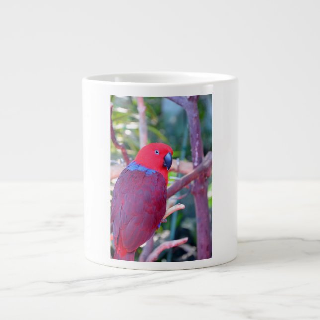 Bunte eclectus Papageien-Tasse Jumbo-Tasse (Vorderseite)