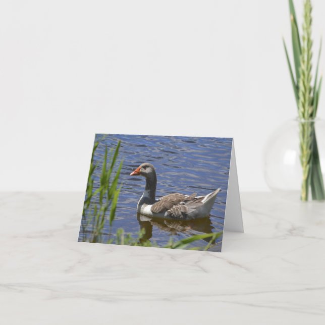 Bunte Ente Notecard Karte (Vorderseite)