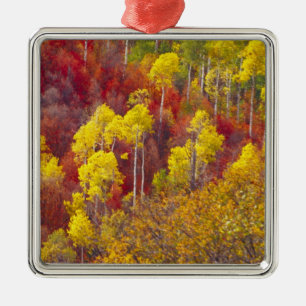 Bunte Espen im Logan Canyon Utah in der 2 Silbernes Ornament