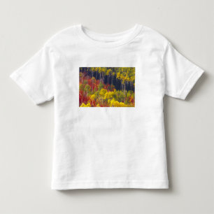 Bunte Espen im Logan Canyon Utah in der Kleinkind T-shirt