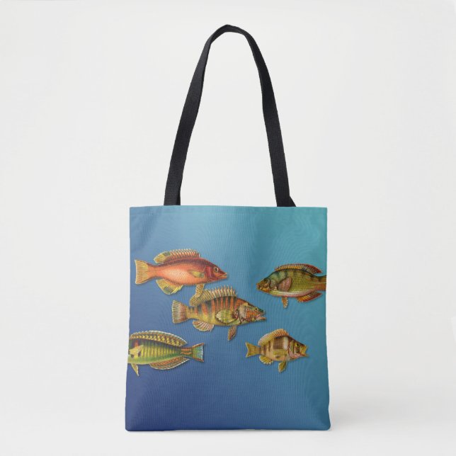 Bunte Fische (Vorderseite)