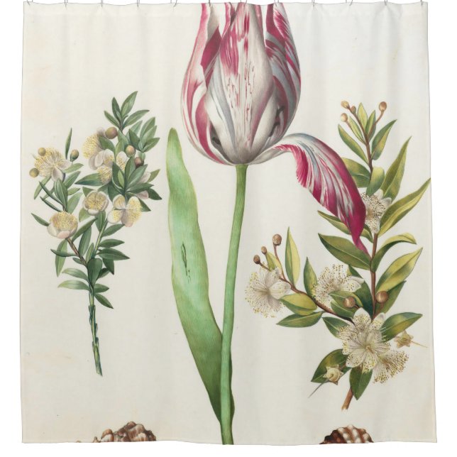 Bunte Früchte Duschvorhang (Vorderseite)