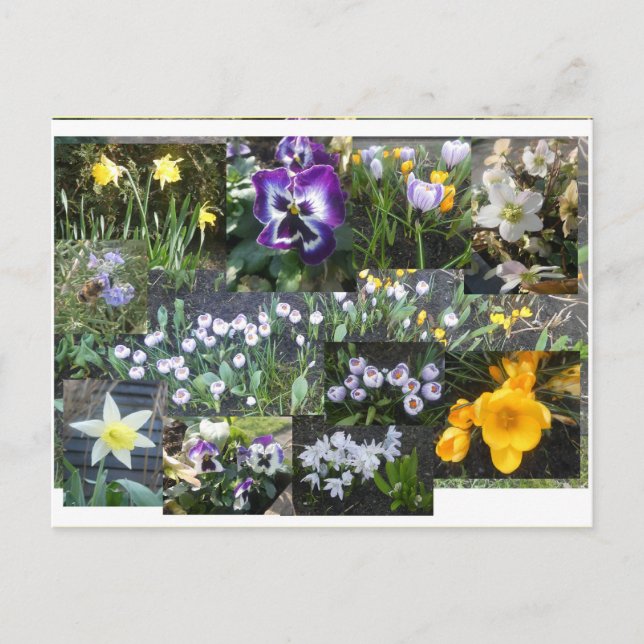 Bunte Frühlingsblumen Collage DIY Postkarte (Vorderseite)