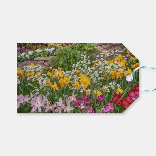 Bunte Frühlingsblumen in voller Blüte Geschenkanhänger (Vorderseite (Horizontal))
