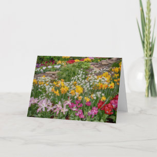 Bunte Frühlingsblumen in voller Blüte Karte