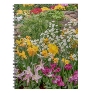 Bunte Frühlingsblumen in voller Blüte Notizblock